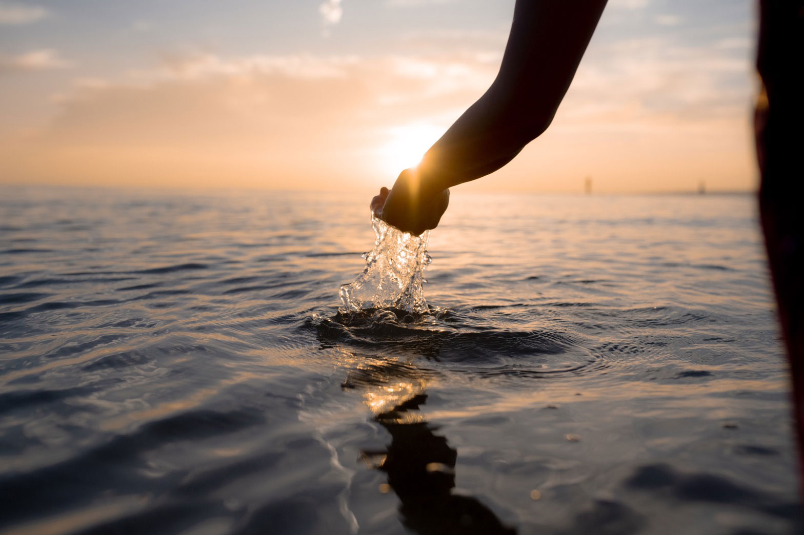 アルファグリックス