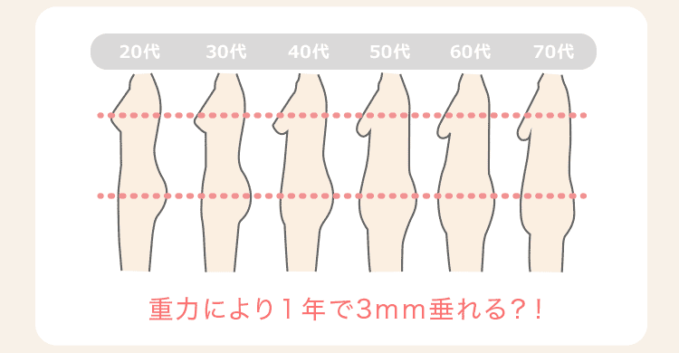 年齢による体型の変化